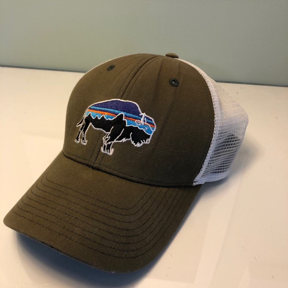 Patagonia baseball hat